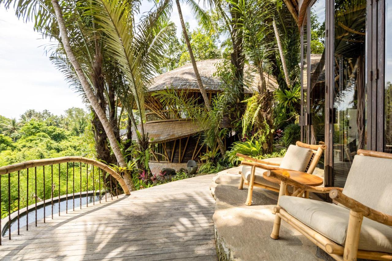 Bringkit Eclipse House 4Bds Eco Bamboo House Pool Riverview מראה חיצוני תמונה