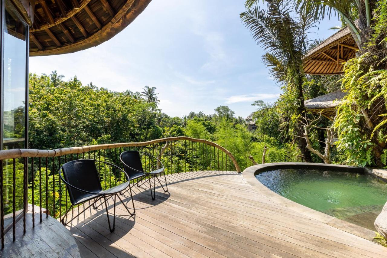Bringkit Eclipse House 4Bds Eco Bamboo House Pool Riverview מראה חיצוני תמונה