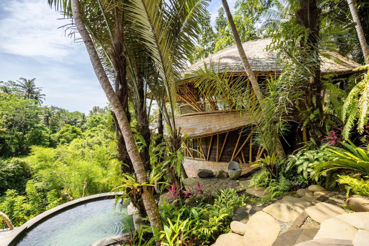 Bringkit Eclipse House 4Bds Eco Bamboo House Pool Riverview מראה חיצוני תמונה