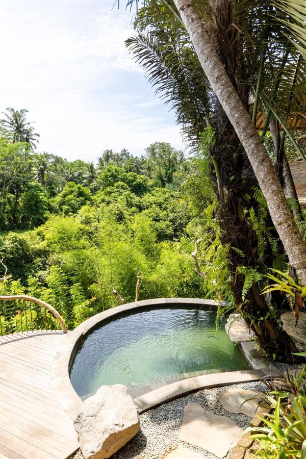 Bringkit Eclipse House 4Bds Eco Bamboo House Pool Riverview מראה חיצוני תמונה